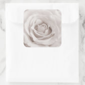 ヴィンテージセピアホワイト&クリームバラ背景カスタム スクエアシール (バッグ)