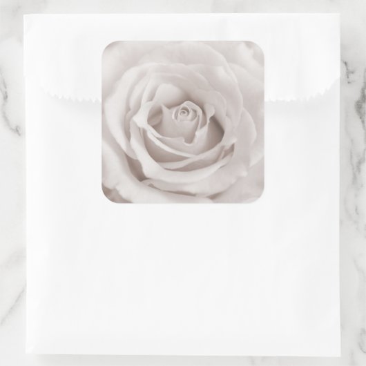 ヴィンテージセピアホワイト&クリームバラ背景カスタム スクエアシール (バッグ)