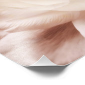 ヴィンテージセピアホワイト&クリームランナキュラス背景 フォトプリント            (角)