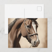 ヴィンテージセピアポートレートの馬 ポストカード (正面/裏面)