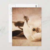 ヴィンテージセピアマグノリア花フローラ花 ポストカード (正面/裏面)