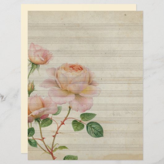 ヴィンテージセピア音楽ノートピンクのバラ (正面/裏面)