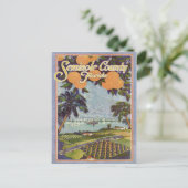 ヴィンテージセミノール郡フロリダ ポストカード (スタンド正面)