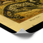 ヴィンテージセルバルワイルドキャットナチュラルヒストリープリント ポスター (角)