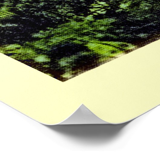 ヴィンテージセントトーマスヴァージン諸島 ポスター (角)