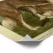 ヴィンテージセントバーナルドッグスイラストレーション ポスター (角)