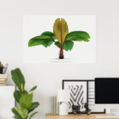 ヴィンテージセーシェルパームプリント ポスター (ホームオフィス)