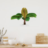 ヴィンテージセーシェルパームプリント ポスター (キッチン)