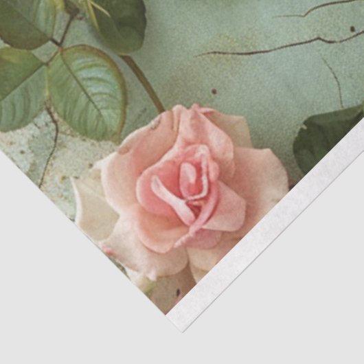 ヴィンテージセージ緑とバラの背景の分離 薄葉紙 (詳細)