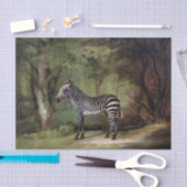 ヴィンテージゼブラアフリカのジャングル 薄葉紙 (クラフト)