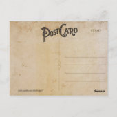 ヴィンテージゼブラ旅行はがき ポストカード (裏面)