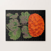 ヴィンテージゼラニウム – はっきりしたフローラ ジグソーパズル (横)