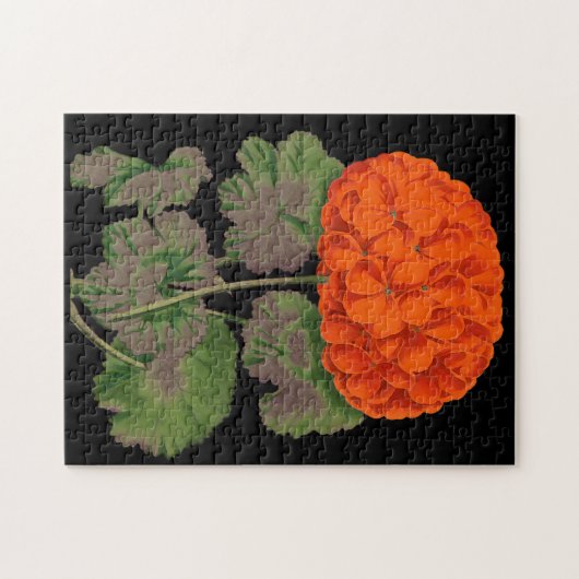 ヴィンテージゼラニウム – はっきりしたフローラ ジグソーパズル (横)