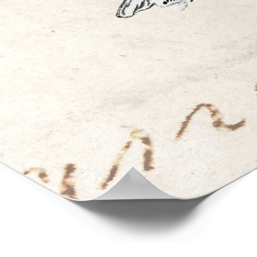 ヴィンテージソングバードイラストレーション- 1800の鳥文字 ポスター (角)