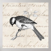 ヴィンテージソングバードイラストレーション- 1800の鳥文字 ポスター (正面)