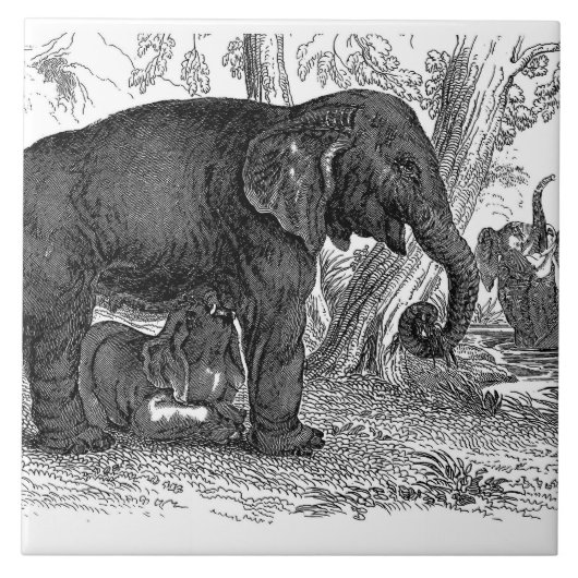 ヴィンテージゾウのホームオフィス用の装飾タイル タイル (正面)