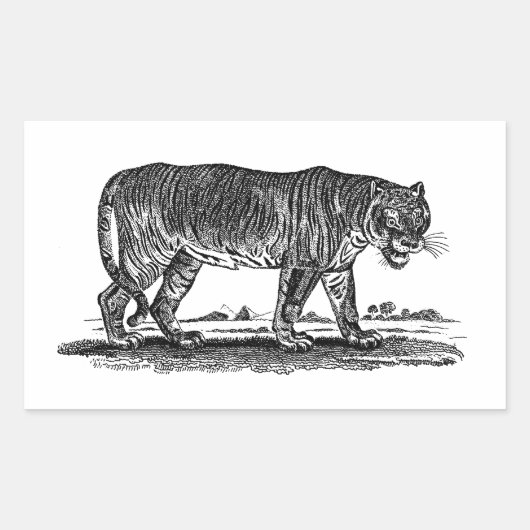 ヴィンテージタイガーイラストレーション- 1800年代タイガースアフリカ 長方形シール (正面)