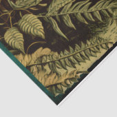 ヴィンテージタイガーティッシュペーパー 薄葉紙 (詳細)