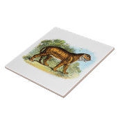 ヴィンテージタイガー動物イラストレーション タイル (側面)