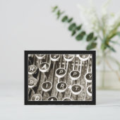 ヴィンテージタイプライターの誕生日挨拶 ポストカード (スタンド正面)