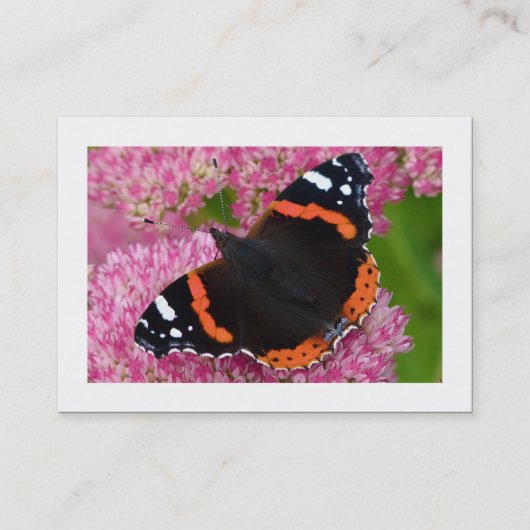 ヴィンテージタイプライタ縁どー 名刺 (正面)