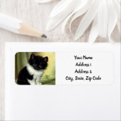 ヴィンテージタキシードキッテンイラストレーション ラベル (インサイチュ)