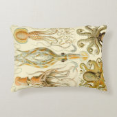 ヴィンテージタコイカガモチョニアバイエルンストハエッケル アクセントクッション (正面)