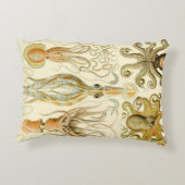 ヴィンテージタコイカガモチョニアバイエルンストハエッケル アクセントクッション (裏面)