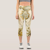 ヴィンテージタコイカガモチョニアバイエルンストハエッケル カプリレギンス (正面)