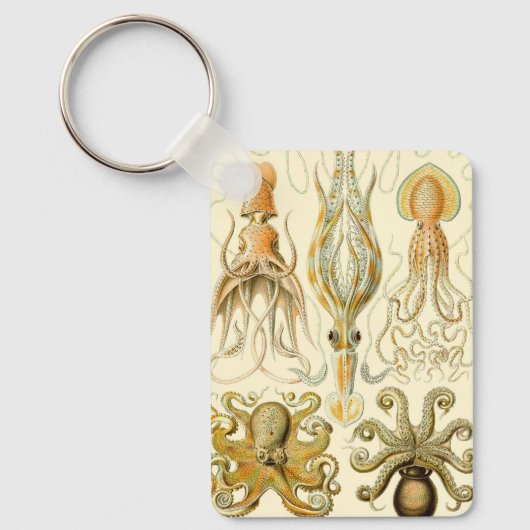 ヴィンテージタコイカガモチョニアバイエルンストハエッケル キーホルダー (正面)