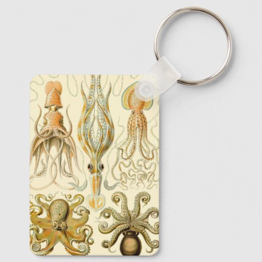 ヴィンテージタコイカガモチョニアバイエルンストハエッケル キーホルダー (裏面)
