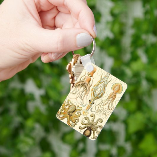 ヴィンテージタコイカガモチョニアバイエルンストハエッケル キーホルダー (手)