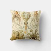 ヴィンテージタコイカガモチョニアバイエルンストハエッケル クッション (正面)