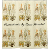 ヴィンテージタコイカガモチョニアバイエルンストハエッケル シャワーカーテン (正面)