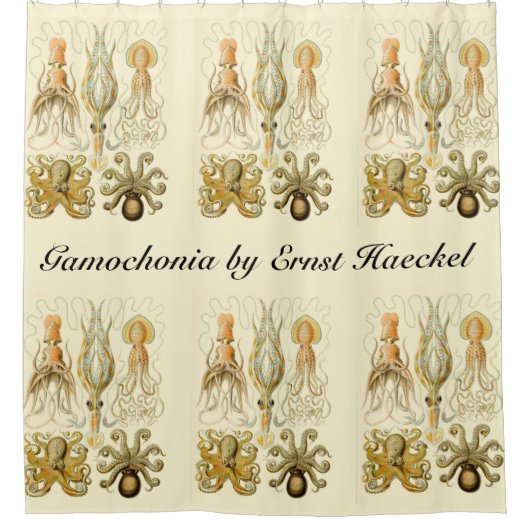ヴィンテージタコイカガモチョニアバイエルンストハエッケル シャワーカーテン (正面)