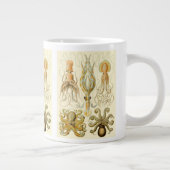 ヴィンテージタコイカガモチョニアバイエルンストハエッケル ジャンボコーヒーマグカップ (右)