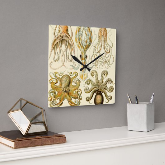 ヴィンテージタコイカガモチョニアバイエルンストハエッケル スクエア壁時計 (オフィス)