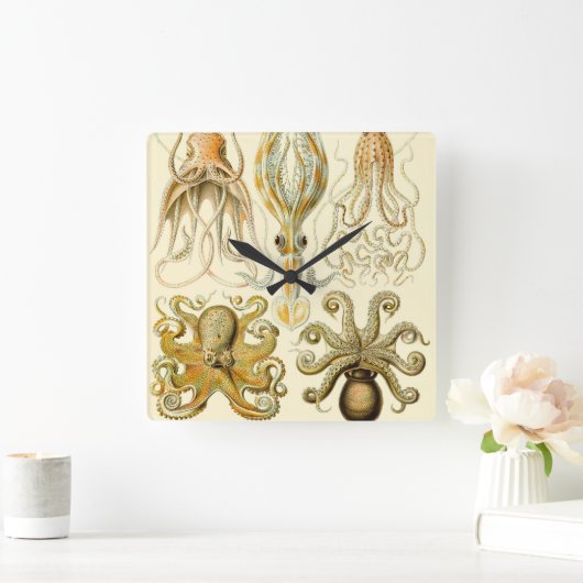 ヴィンテージタコイカガモチョニアバイエルンストハエッケル スクエア壁時計 (ホーム)