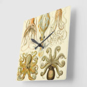 ヴィンテージタコイカガモチョニアバイエルンストハエッケル スクエア壁時計 (傾斜)