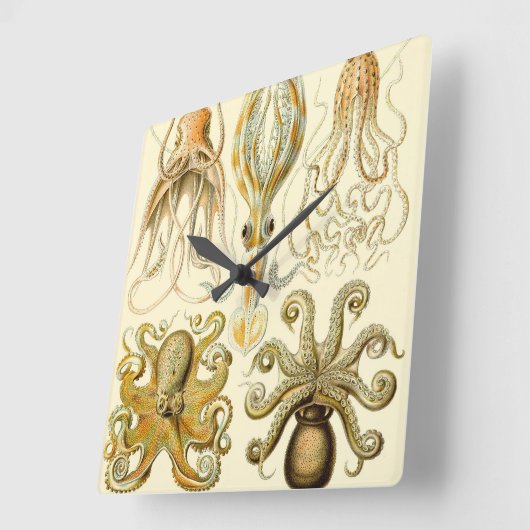 ヴィンテージタコイカガモチョニアバイエルンストハエッケル スクエア壁時計 (傾斜)