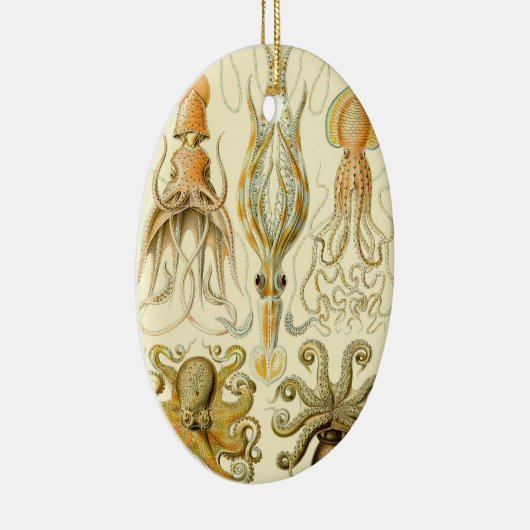 ヴィンテージタコイカガモチョニアバイエルンストハエッケル セラミックオーナメント (右)