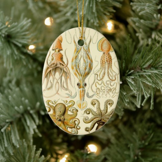 ヴィンテージタコイカガモチョニアバイエルンストハエッケル セラミックオーナメント (ツリー)