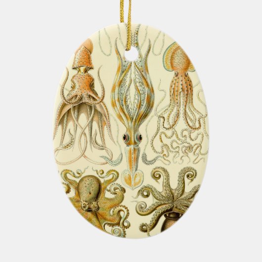 ヴィンテージタコイカガモチョニアバイエルンストハエッケル セラミックオーナメント (裏面)
