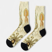 ヴィンテージタコイカガモチョニアバイエルンストハエッケル ソックス (左)