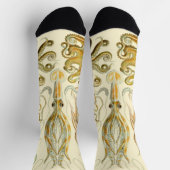 ヴィンテージタコイカガモチョニアバイエルンストハエッケル ソックス (上部)