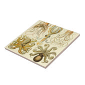 ヴィンテージタコイカガモチョニアバイエルンストハエッケル タイル (側面)