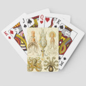 ヴィンテージタコイカガモチョニアバイエルンストハエッケル トランプ (裏面)