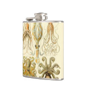 ヴィンテージタコイカガモチョニアバイエルンストハエッケル フラスク (左)