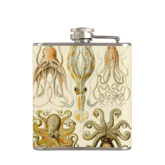 ヴィンテージタコイカガモチョニアバイエルンストハエッケル フラスク (裏面)
