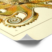 ヴィンテージタコイカガモチョニアバイエルンストハエッケル ポスター (角)